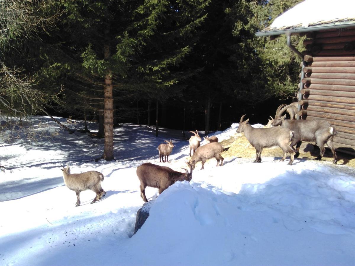 טיראנו Hotel Bed & Rooms , Corte Rossa -1 Min Walk To Bernina Express מראה חיצוני תמונה
